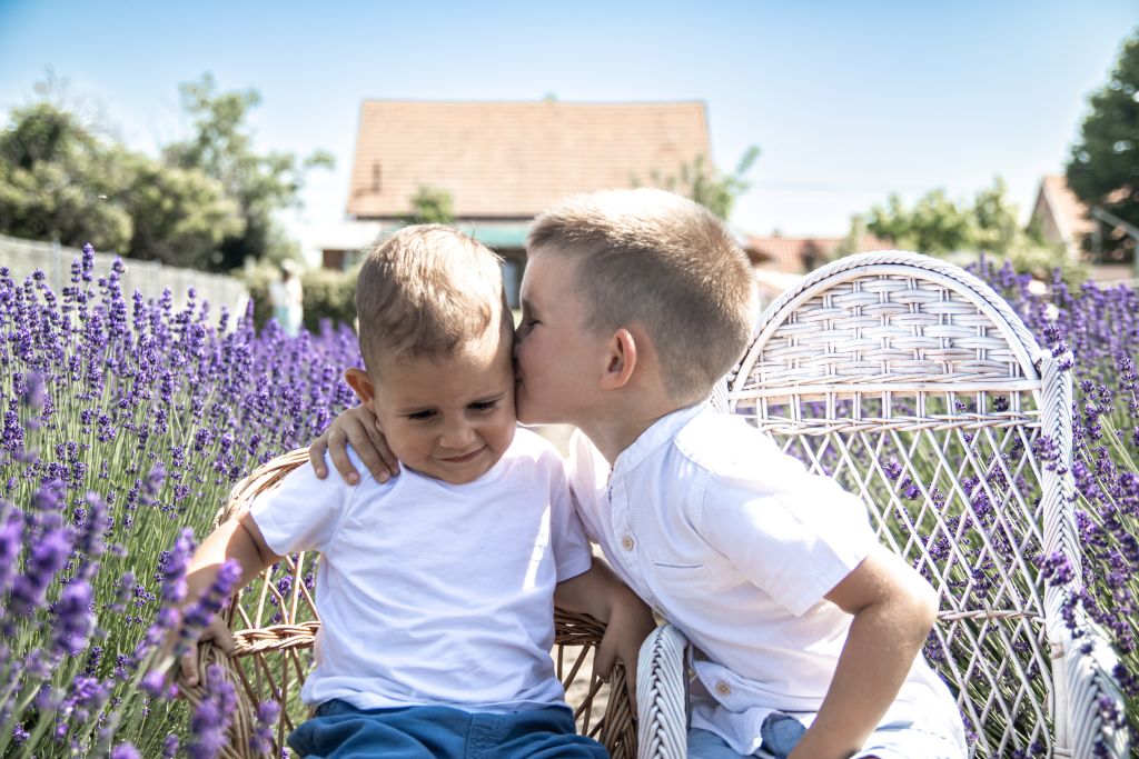 Levendulás fotózás Levendulás fotózás