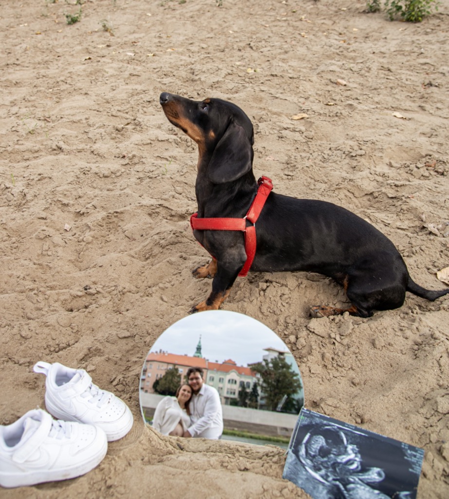 Kismama fotózás - Szeged